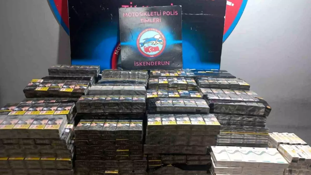 iskenderunda 2950 paket kacak sigara ele gecirildi 9WCavV1d