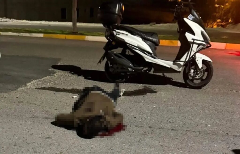 bicakli saldiri sanliurfada genc hayatini kaybetti hnQKHFQz