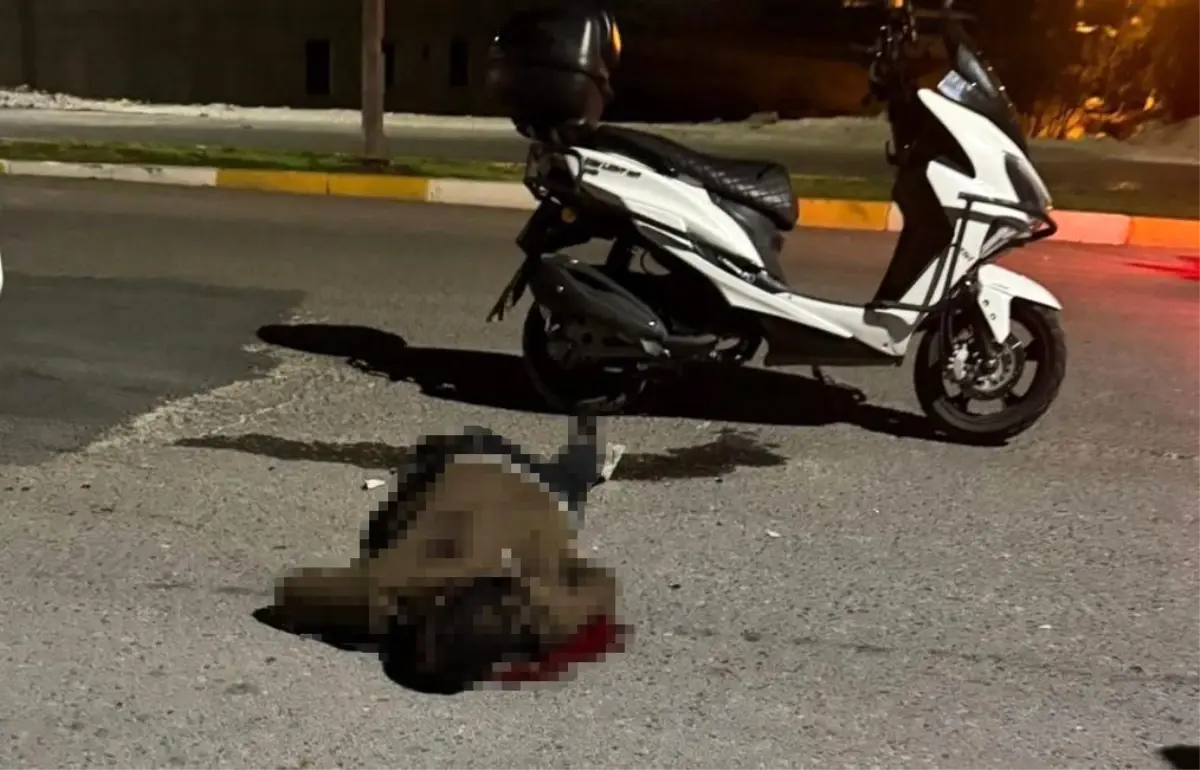 bicakli saldiri sanliurfada genc hayatini kaybetti hnQKHFQz