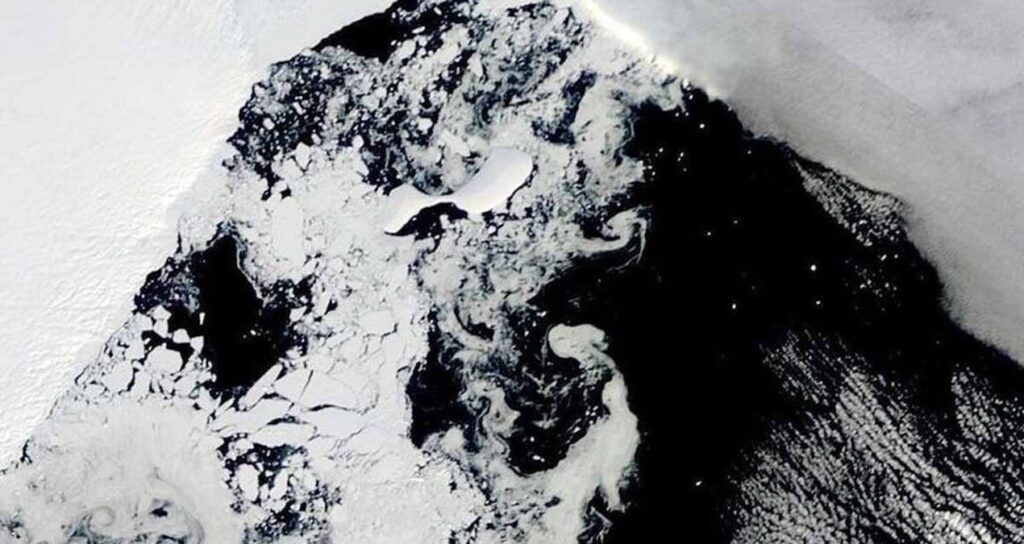 dunyanin en yasli hayvani antarktikada bulundu yaklasik 2 metre boyunda w3nz8O8s.jpg