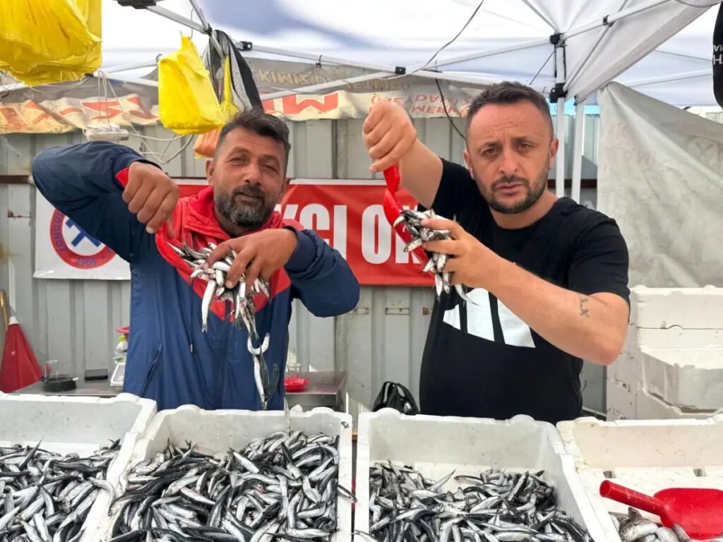 Zonguldak’ta Hamsi Fiyatı 70 TL’ye Düştü