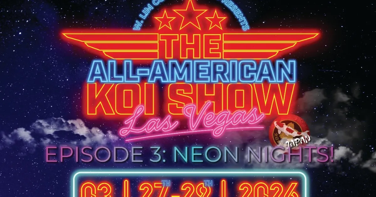 all american koi show 2026 koi dunyasinin en prestijli yarismasi las vegasa donuyor q5bSgziw.webp