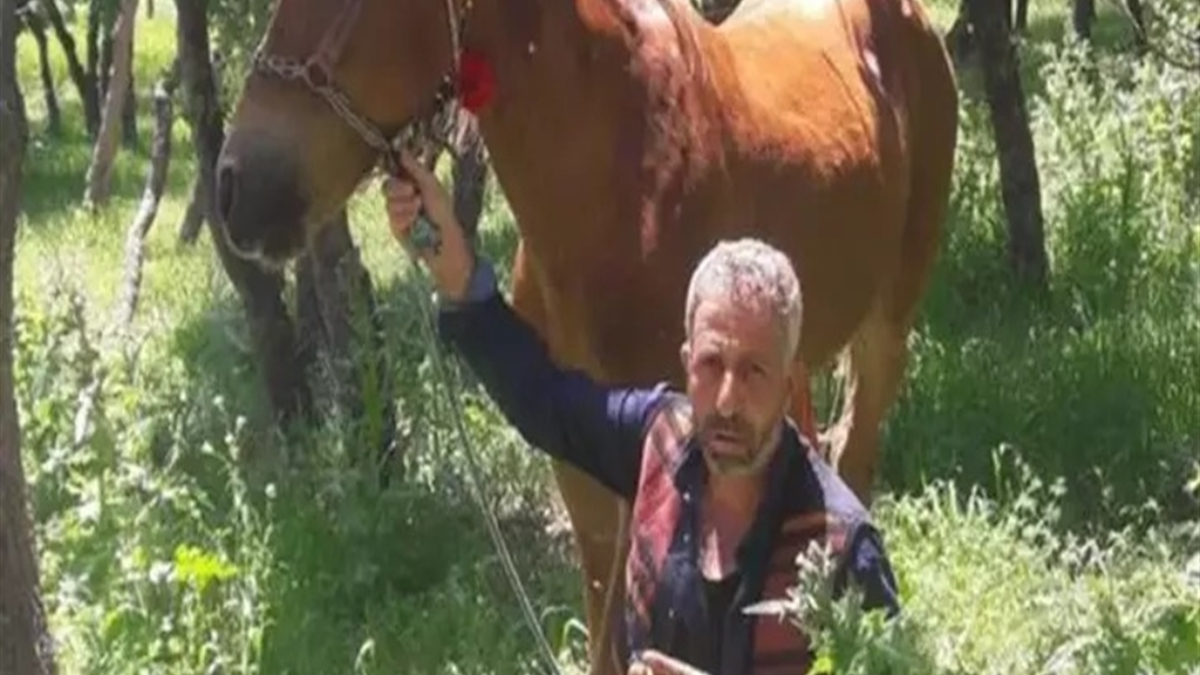 diyarbakirda babasini olduren saniga 15 yil verildi EMgBtQbt.jpg