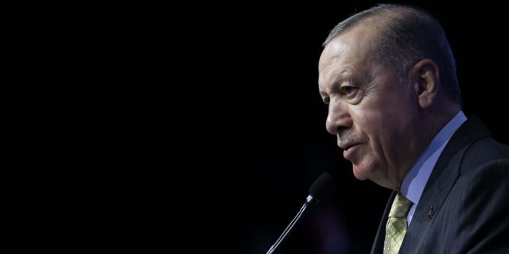 erdogan ne demek istedi ozel boyle giderse chp ya sanziman dagitacak w11cRNGG.jpg