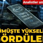analistler-umutlu-gumuste-yukselisi-gorduler-rAxtf8au