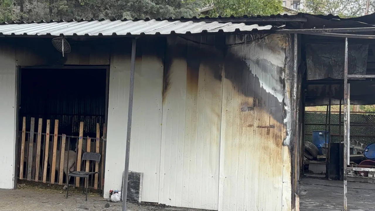 Eyüpsultan’da Kurban Kesim Alanında Çıkan Yangında Bir Kişi Hayatını Kaybetti